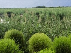 -野鸭湖国家湿地公园