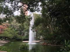 -九龙公园