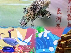 -烟台海昌鲸鲨海洋公园