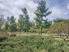 -莲花池公园