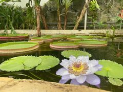 -国家植物园南园