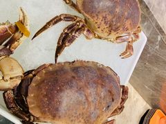 -蓝钻·国际美食海鲜自助百汇(西直门店)