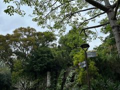 -深圳仙湖植物园