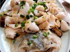清蒸鲈鱼-池记大牌档(广纸店)
