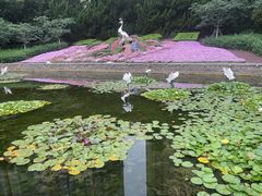 -中山公园