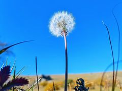 -克什克腾世界地质公园青山景区