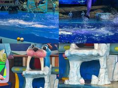 -海合安武汉极地海洋公园