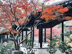 -惠山古镇·寄畅园