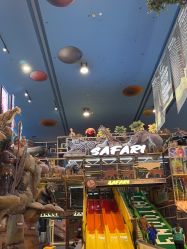 -卡通尼·Safari非洲探索乐园·生日会(金桥国际商业广场店)
