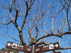 -香山公园