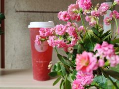 -树夏(建设路店)