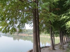 -云龙湖旅游景区