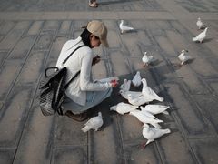 -天津妈祖文化园