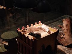 -绿色星球动物主题公园