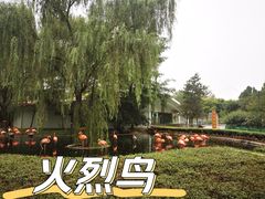 -石家庄市动物园