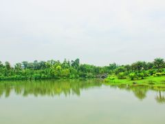 -瑶湖郊野森林公园