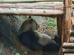 -泉州海丝野生动物世界