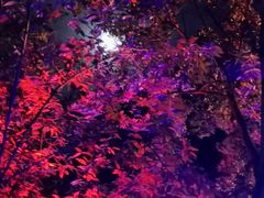 室外温泉夜景-金隅凤山酒店
