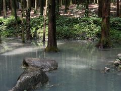 -山王坪喀斯特国家生态公园