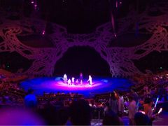 -珠海横琴长隆《卡卡虎奇遇记》