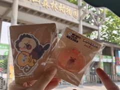 -鸡鸣汤包(红山动物园店)