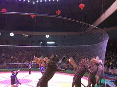 -西安秦岭野生动物园