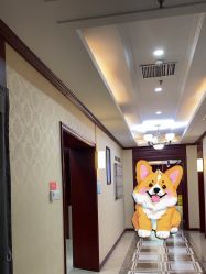 -南京医科大学友谊整形外科医院