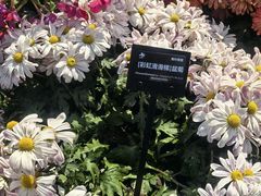 -上海植物园-4号门售票处