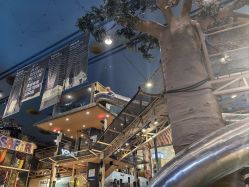 -卡通尼·Safari非洲探索乐园·生日会(金桥国际商业广场店)