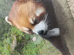 -黔灵山公园
