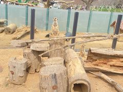 -大连森林动物园