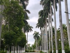 -万绿园