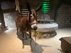 -西安电影制片厂