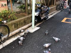 -优衣库(银座店)