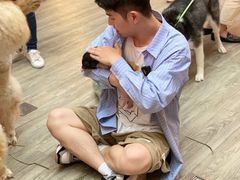 -藦茜花园宠物主题亲子互动体验馆(国顺东路店)