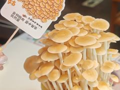-烹然四季椰子鸡火锅(姚家园万象汇店)