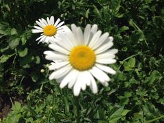 -长春公园(普阳街道)