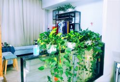 -一伽瑜伽·普拉提