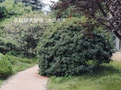 -济南南郊宾馆