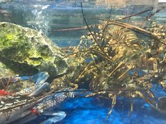 -盒马鲜生(莱蒙都会店)