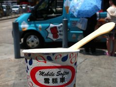 -富豪雪糕车流动点(尖沙咀店)
