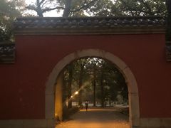 -灵谷景区