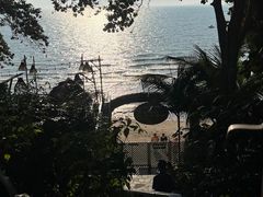 -卷心菜和避孕套餐厅(Pattaya)