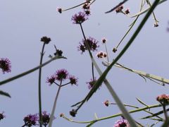 -共青国家森林公园-售票处