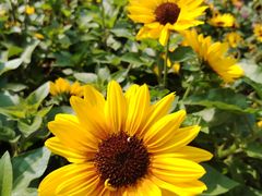 -人民公园(罗湖区)