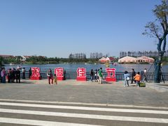 -上海长兴岛郊野公园