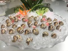 冰镇花螺-明香海鲜酒家(华强北店)