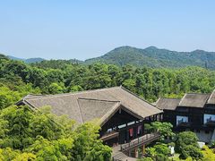 -大唐贡茶院
