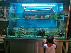 -重庆巴渝火锅(钟家村店)