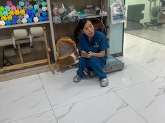 -嘉馨宠物医院·CT影像转诊·心脏科·犬猫全科诊疗中心(下沙大学城院区)